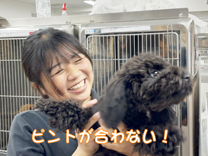 ドッグパークルームの生徒とモデル犬♪